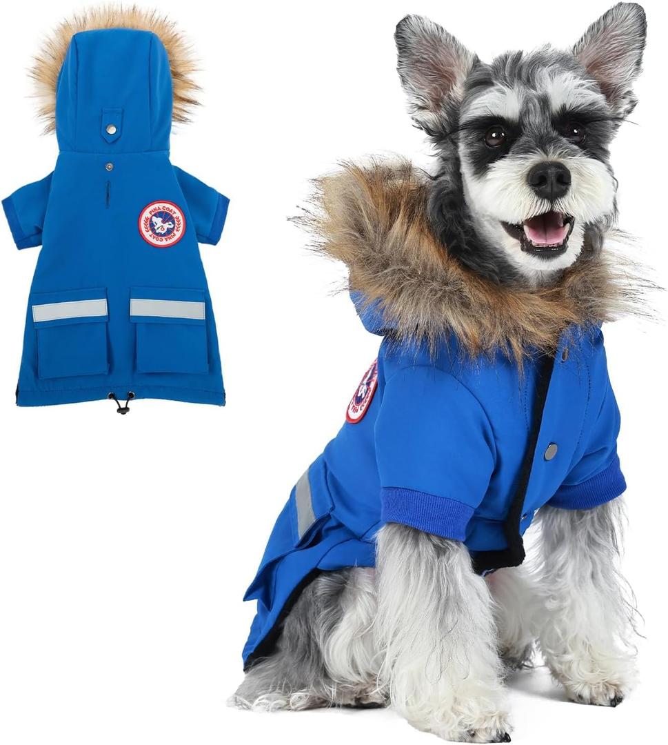 PINA Small Dog Coats - Waterproof Winter Jacket with Flannel Lining, Faux Fur Hood & Pocket (L(Chest 21.6"), Blue)