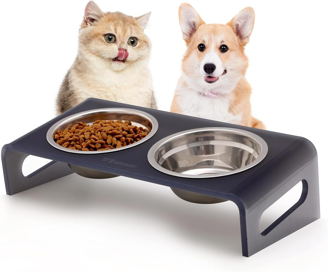 Tilted Raised Elevated Food and Water Bowls Stand for Cat or Small Dogs - Puppy's Clear Acrylic Stainless Steel Dishes Holder for Boy or Girl Pet, Modern, Durable and Easy to Clean by WBhonghui (Black)