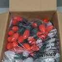 Vintage C9 LED Christmas Lights Outdoor, 150 Feet C9 String Lights with 75 Shatterproof C9 Bulbs, Waterproof Connectable Christmas Tree Lights for Outside Roofline Patio Xmas Decor, Red & Pure White