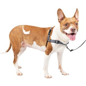 PetSafe Easy Walk Deluxe Dog Harness, No Pull Dog Harness  Perfect for Leash & Harness Training  Stops Pets from Pulling and Choking on Walks  Medium, Steel (Medium (Pack of 1))