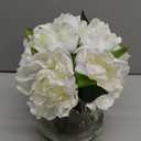 Hollyone Fake Flowers White Peonies Artificial Flowers Faux Flowers with Vase Peony Silk Flower Arrangements in Glass Vase with Faux Water for Home Decor Bathroom Table Centerpiece Shelf Decorations, Peony, White