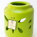 HD Designs Outdoors Dragonfly Luminary, Small, 7.5 in H x 7 in Dia