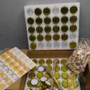 CRTWDMAN 60 Pack Mini Honey Jars/Pot Metal Lids,1.5 oz Glass,Wooden Dippers,Bee Charms,Jutes,Stickers,Small,Tiny, Baby Shower Wedding Party Favors