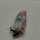 Terro Fruit Fly Traps for Indoors (12 Pack) + 540 Days of Lure Supply