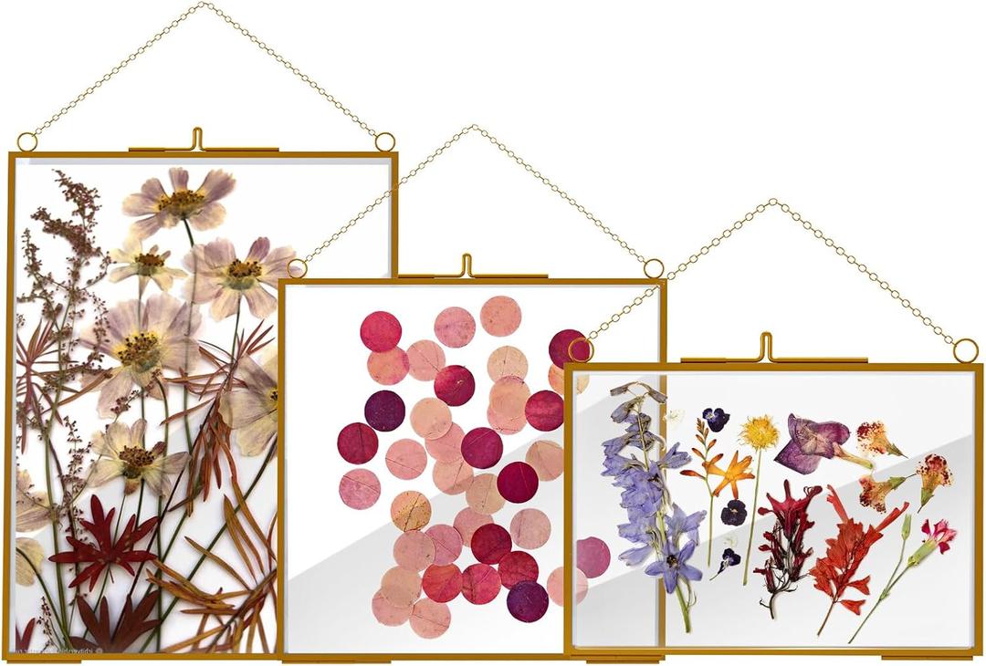 3 Pcs Glass Picture Frame for Pressed Flower,Golden Hanging Photo Frame Clear Glass Artwork Display Frame with Chain for Dried Plant Gallery Wall Decor DIY Home Wall Art