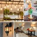 100 Watt Incandescent Light Bulbs, A19 100 WATT Incandescent Bulb Shatter Resistant Rough Service Light Bulb 100 WATTS A19 Shape, E26 Standard Base 2 Pack