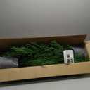 4FT Pre-Lit Artificial Norfolk Pine Christmas Tree  Realistic Potted Tree with 100 LED Lights & 8-Function Battery Box, Pre-Assembled Faux Holiday Dcor for Indoor Use (2)