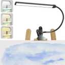 Lamptobe Clip-On LED Easel Lamp for Artists, 3 Color Modes, 10-Level Dimmable, 300lm Eye-Care Reading Light for Painting, Drawing with Flexible Arm, USB-Powered