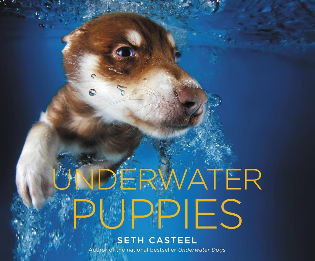 Book Underwater Puppies