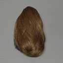 NTYNTY Ponytail Extension - 10" Short Claw Clip in Ponytail Hair Extensions Messy Bun Hair Piece Natural Soft Synthetic Straight Pony Tail Hair Pieces for Women - Ash Blonde with Highlights