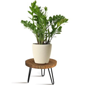 Plant Stand Indoor Outdoor Wood Mid Century Plant Stand for Indoor Plants, Modern Plant Table Round Plant Stool, Boho Rustic Wooden Stool for Plant Pot Hol (L)