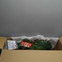 National Tree Company 4 ft Pre-Lit Crestwood Spruce Mini Artificial Christmas Entrance Tree, 100 Clear Lights, 230 Tips, Glitter, Pinecones, Red Berries, Gold Rubbed Pedestal Base, Green