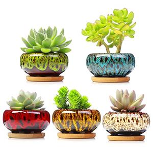 LamDawn Cute Ceramic Succulent Garden Pots, Planter with Drainage and Attached Saucer, Set of 5 - Plants Not Included (Vivid Colors)