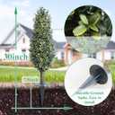 30inch Artificial Boxwood Plant with Ground Spike, Topiary with Stake for Outdoor (Set of 2)