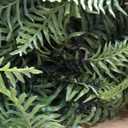 Artificial Hanging Plants with Basket 2PCS Fake Boston Fern Baskets Outdoor