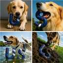American Playtime Dog Chew Toy, Blue 6" in 2 Pack Interactive Outdoors Toys for Aggressive Chewers for Treat-Filling Capabilities and Tug of War Dog Toy, Tough Toys for Medium,Large Dogs
