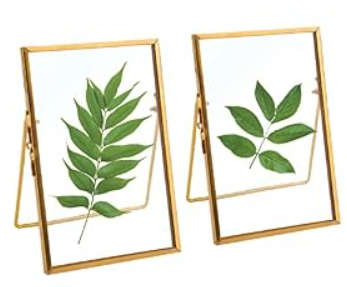 TLBTEK 2 Pcs 5x7 inch Desk double glass Photo frames kit, Gold brass metal Picture Frame vertical for Pressed Flowers, Clear DIY Vintage Artwork Display Frame