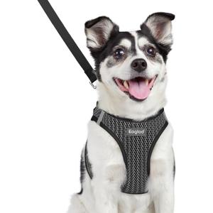 Eagloo Small Dog Harness and Leash Set, Step in Puppy Vest with Breathable Soft Mesh, Walking Reflective Pet Harness for Medium Small Dogs, Gray, L (L(Chest:18.2"-20.5"))