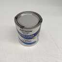 Rust-Oleum 242057 Painter's Touch Latex Paint, Quart, Gloss Clear,1 Quarts (Pack of 1)