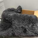 JOEJOY Large Dog Bed Crate Pad, Deluxe Plush Washable Dog Beds Fulffy Soft Kennel Pad Anti-Slip Pet Sleeping Mat for Extra Large Medium Small Dogs, 40" x 27", Grey