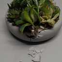 MyGift Assorted Indoor Fake Plants Artificial Succulent Arrangement in Round Gray Cement Planter Pot (Dark Grey)