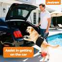 Dog Lift Harness, Adjustable Comfortable Dog Sling with Handle for Hind Leg Support Soft Lift Support and Rehab Harness for Weak Rear Legs, Helps Senior, Injured, Disabled and After ACL Surgery Dogs M
