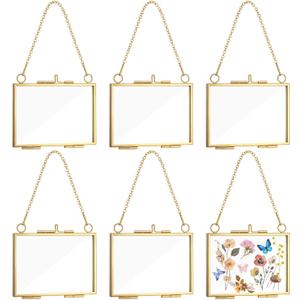 6 PCS Wall Hanging Mini Photo Frames 2.5x3.5 Inch Double Glass Frame for Pressed Flowers Wall Hanging Brass Frame for Pressed Flowers DIY Vintage Artwork Display Frames Plant Specimen Artwork (Gold)