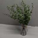 VIERENA 17.5" Artificial Eucalyptus Stems in Glass Vase with Faux Water,Fake Plant Eucalyptus Leaves White Seeds for Centerpiece Table Decorations Farmhouse Wedding Home Greenery Decor (Sage Green)