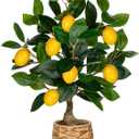 Artificial Potted Plants 17.3 inches Small Fake Lemon Tree Artificial Lemons Citrus Tree with Woven Pot Faux Plants Indoor Lemon Decorations for Home,Office, Living Room Table, Desk