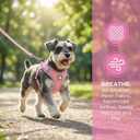 Dog Harness with Leash Set, No Pull Adjustable Reflective Step-in Puppy Harness with Thickened Padded Vest for Extra-Small/Small Medium Dogs (Pink, Medium)