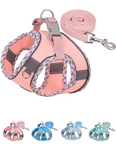 Petank Dog Harness for Small Medium Dogs No Pull, Puppy Harness and Leash Set, Step in Dog Harness for Walking, Running, Training, Small Dog Vest (Pink, XXS)