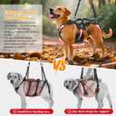 Dog Lift Harness, Dog Support & Recovery Sling for Full-Body & Hind/Front Leg Pee-Able Design for Large/Medium Dogs All-in-One Ideal Assistance for Senior, Disabled, Arthritic & ACL Canines (L)