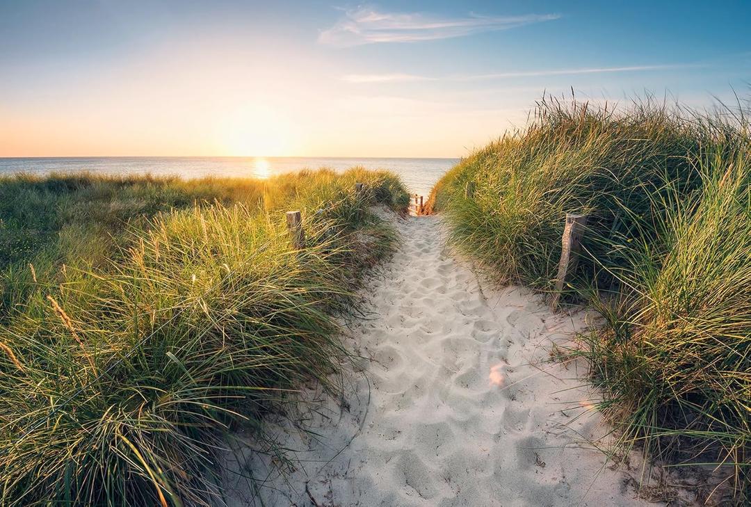 Komar Way to The Beach Wall Mural, XXL4-076