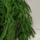 Christmas Garland Norfolk Pine Garland Real Touch Artificial Greenery Garland for Mantle Fireplace Table Indoor Outdoor Decor 6FT