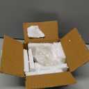 Natural shankh Conch Shell with Golden Turtle Stand for Pooja, Home Decor