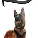 Non-stop dogwear Rock Harness Adjustable Dog Harness for Small Dogs with 3 Leash Clips, Handle and Reflective, Black/Orange, Size S