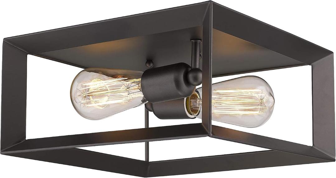 Emliviar 2-Light Ceiling Light, 12" Flush Mount Ceiling Lighting Fixture, Oil Rubbed Bronze Finish, 3040-2 ORB