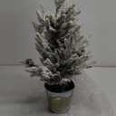 Puleo International Pre-Lit 2' Flocked Table Top Artificial Christmas Tree with 35 Lights in Metal Pot, Green