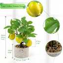 Woration Artificial Potted Plants Fake Yellow Lemon Tree Bonsai Decoration Faux Fruit Greenery with Pot Indoor for Home Office Living Room Table Ornaments, Lemon