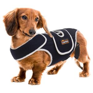 IVDD Dog Back Brace for Slipped and Herniated Discs - Back Brace for Dachshunds and Corgis, Ensuring Spinal Stability and Pain Relief S