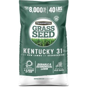 Pennington Kentucky 31 Fescue 40 LB Tall Fescue Grass Seed, Grass Seeds for Lawn