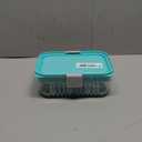 PackIt Mod Lunch Bento Food Storage Container, Mint Green, Shatterproof Crystal Clear Base, with Leak-resistant Dividers and Lid, Microwavable, Dishwasher Safe, Perfect for Meal Prep