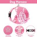EXPAWLORER Cute Dog Harness and Leash Set - Pink Girl Dog Harness Checkered Step-in Design, Easy Adjustable No-Choke Lightweight Breathable Vest for Puppy Small Dogs Cats Outdoor Walking, Small