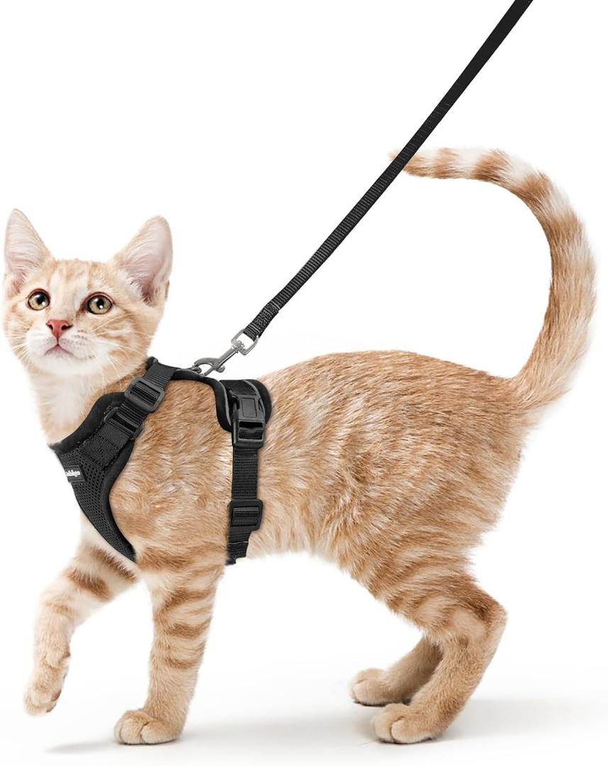 Rabbitgoo Cat Harness and Leash Set, Escape Proof Vest, Black Soft Breathable Mesh, Easy Adjustable Fit, Snap Buckles, Sturdy Clip, Reflective Strips, for Small & Average Cats Walks, XS