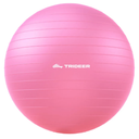 Trideer Extra Thick Yoga Ball Exercise Ball, 5 Sizes Gym Ball, Heavy Duty Ball Chair for Balance, Stability, Pregnancy, Quick Pump Included
