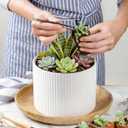 Ceramic Plant Pots, 8.1 + 6 Inch Planters for Indoor Plants, Modern Flower Pots for Plants with Drainage, Medium Cylinder Flower Pots for Indoor Plants, House Plants, Matte White