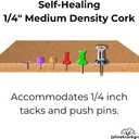 Jelinek Cork Large Bulletin Board Roll 48 x 72 x 1/4 Inches