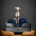 NOAH & PAW XL Dog Bed, 45x35x11 Inch, Orthopedic Large Dog Beds, Eggshell Memory Foam Infused with Cooling Gel, Inner Cover, Waterproof, Machine Washable (Velvet Sofa Collection)