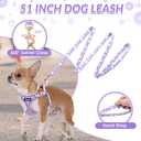 Lukovee No Pull Puppy Harness and Leash Set - Soft Lightweight Escape Proof Puppy Vest Harness, Breathable Adjustable Pet Harness with Dog Leash for Small Dogs (Purple, XXS)