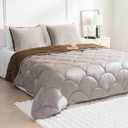Sherpa Comforter Set King Size 95 * 86", All Season Soft Warm Fleece Spring Fall Blanket Filled with Lightweight Microfiber, with 2 Pillow Sham